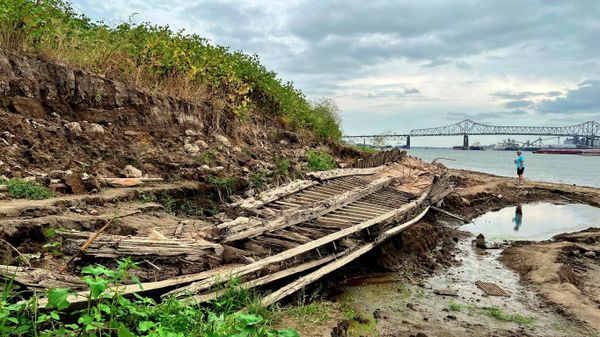 A man walking along the Mississippi River in Baton Rouge, La., stops to look at a shipwreck revealed by the low water level on Monday, Oct. 17, 2022. The ship, which archaeologists believe to be a ferry that sunk in the late 1800s to early 1900s, was spotted by a Baton Rouge resident walking along the shore earlier this month. - Sputnik International