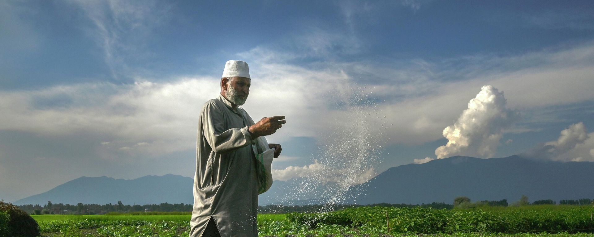A farmer sprays fertilizer at a farm in the outskirts of Srinagar on July 19, 2022. A farmer sprays fertilizer at a farm in the outskirts of Srinagar on July 19, 2022. - Sputnik International, 1920, 21.10.2022