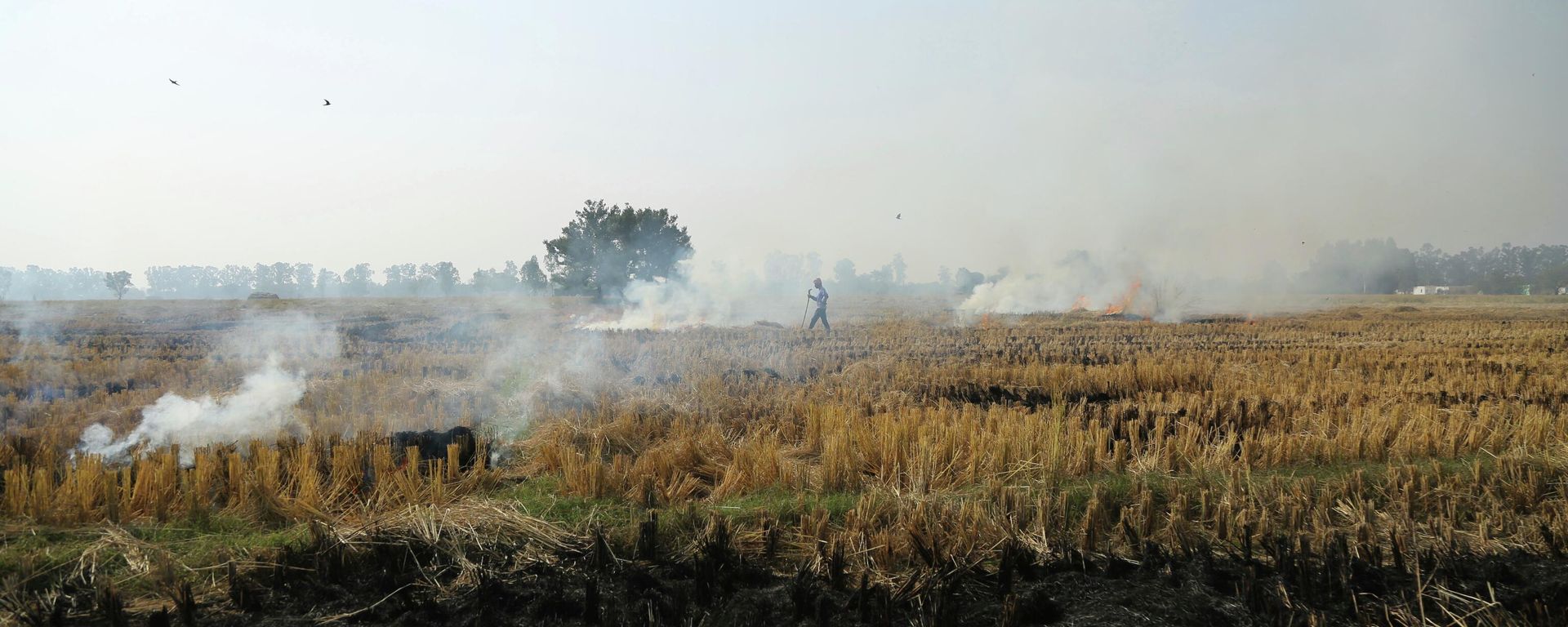 An Indian farmer burns crop stubble after harvesting paddy near the India-Pakistan international border, in Ranbir Singh Pura, India, Wednesday, Nov.28, 2018. An Indian farmer burns crop stubble after harvesting paddy near the India-Pakistan international border, in Ranbir Singh Pura, India, Wednesday, Nov.28, 2018. - Sputnik International, 1920, 24.10.2022