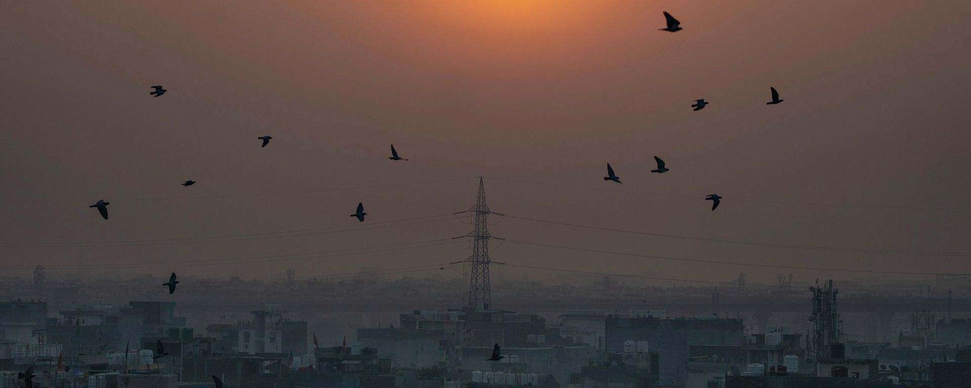 Birds fly in the foreground of rising sun as morning haze envelops the skyline in New Delhi, India, Tuesday, Oct. 25, 2022. Birds fly in the foreground of rising sun as morning haze envelops the skyline in New Delhi, India, Tuesday, Oct. 25, 2022. - Sputnik International, 1920, 14.11.2022