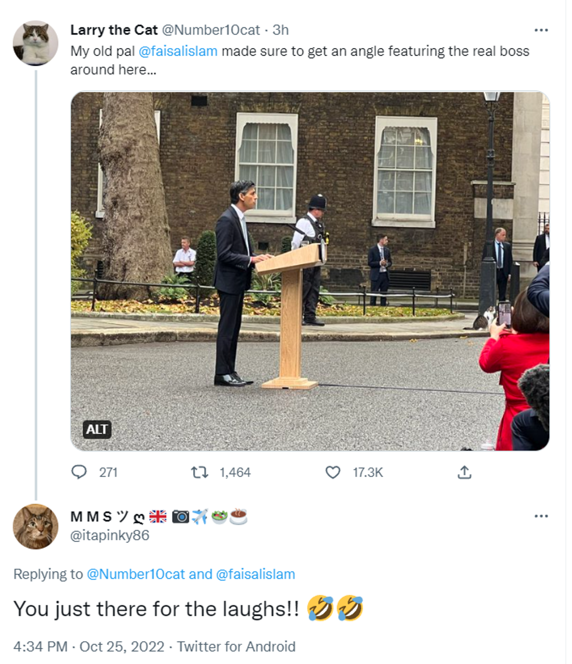 Netizens react to Larry the cat hogging the limelight during newly appointed Britain's Prime Minister Rishi Sunak's first speech Netizens react to Larry the cat hogging the limelight during newly appointed Britain's Prime Minister Rishi Sunak's first speech - Sputnik International, 1920, 25.10.2022