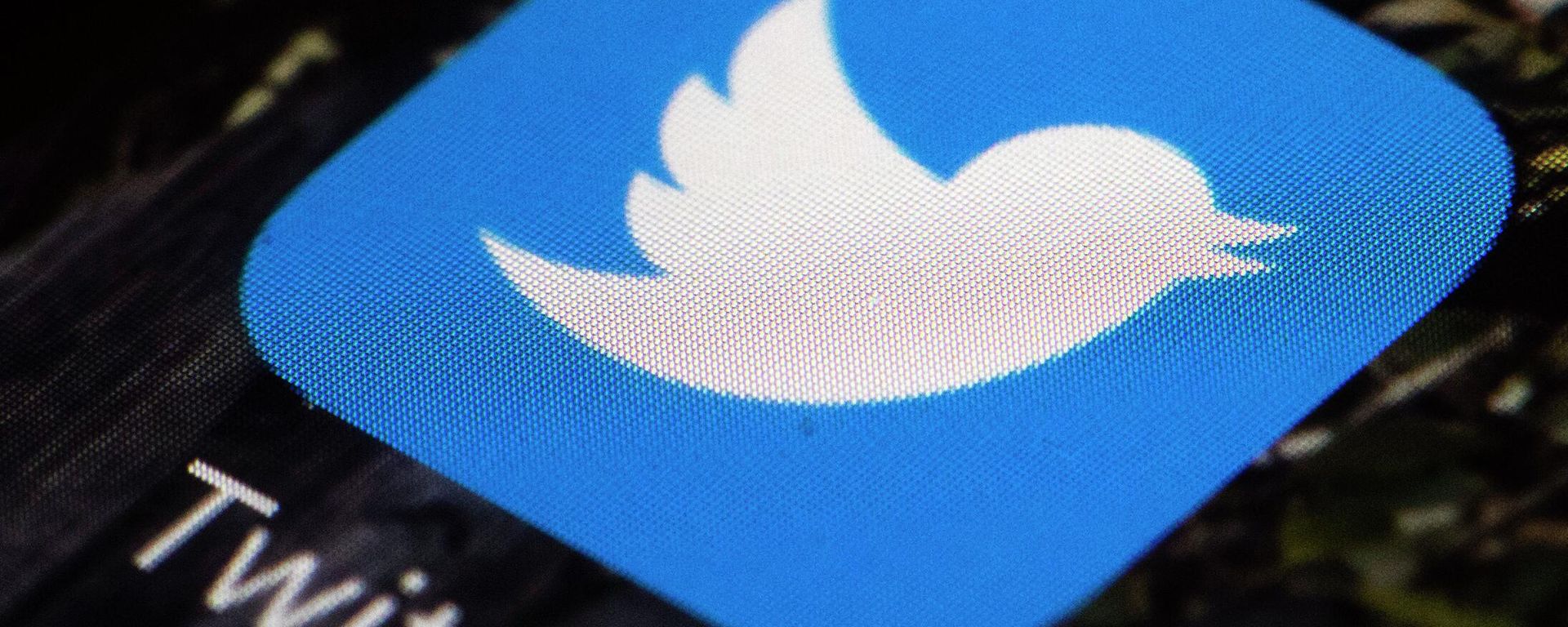 This April 26, 2017, file photo shows the Twitter app icon on a mobile phone in Philadelphia. This April 26, 2017, file photo shows the Twitter app icon on a mobile phone in Philadelphia. - Sputnik International, 1920, 31.10.2022