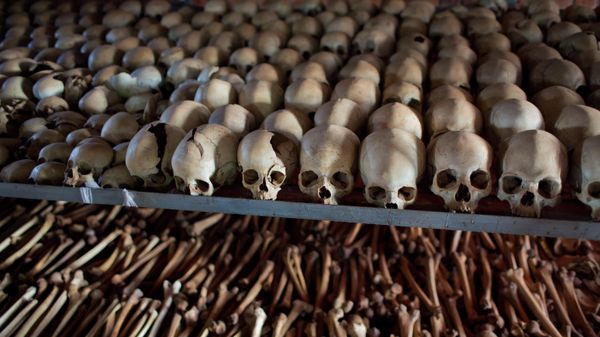  The skulls and bones of some of those who were slaughtered as they sought refuge inside the church are laid out as a memorial to the thousands who were killed in and around the Catholic church during the 1994 genocide in Ntarama, April 4, 2014. - Sputnik International