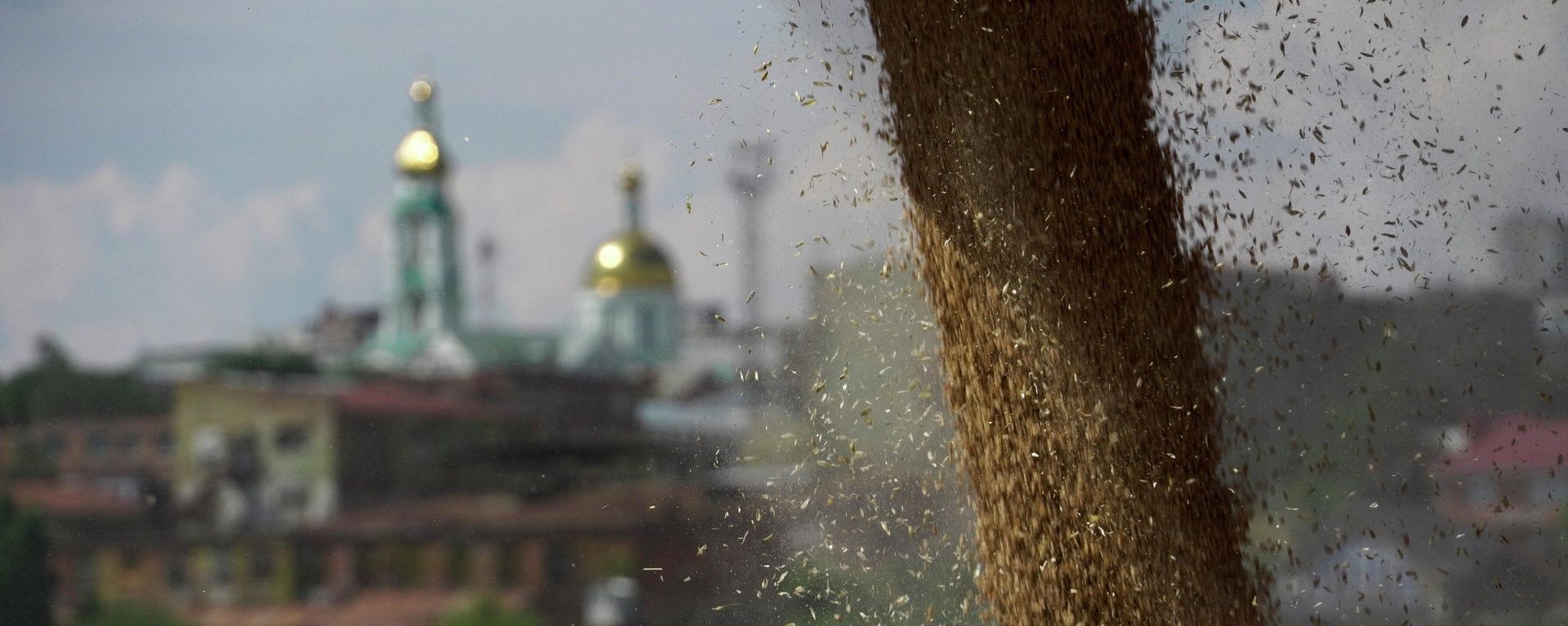 Wheat is loaded aboard a cargo ship in the international port of Rostov-on-Don to be shipped to Turkey, on July 26, 2022.  - Sputnik International, 1920, 31.10.2022