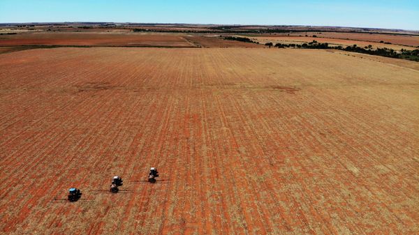 Farm employees spread fertilizer on a farm in Gerdau, North West province, South Africa, Nov. 19, 2018 - Sputnik International