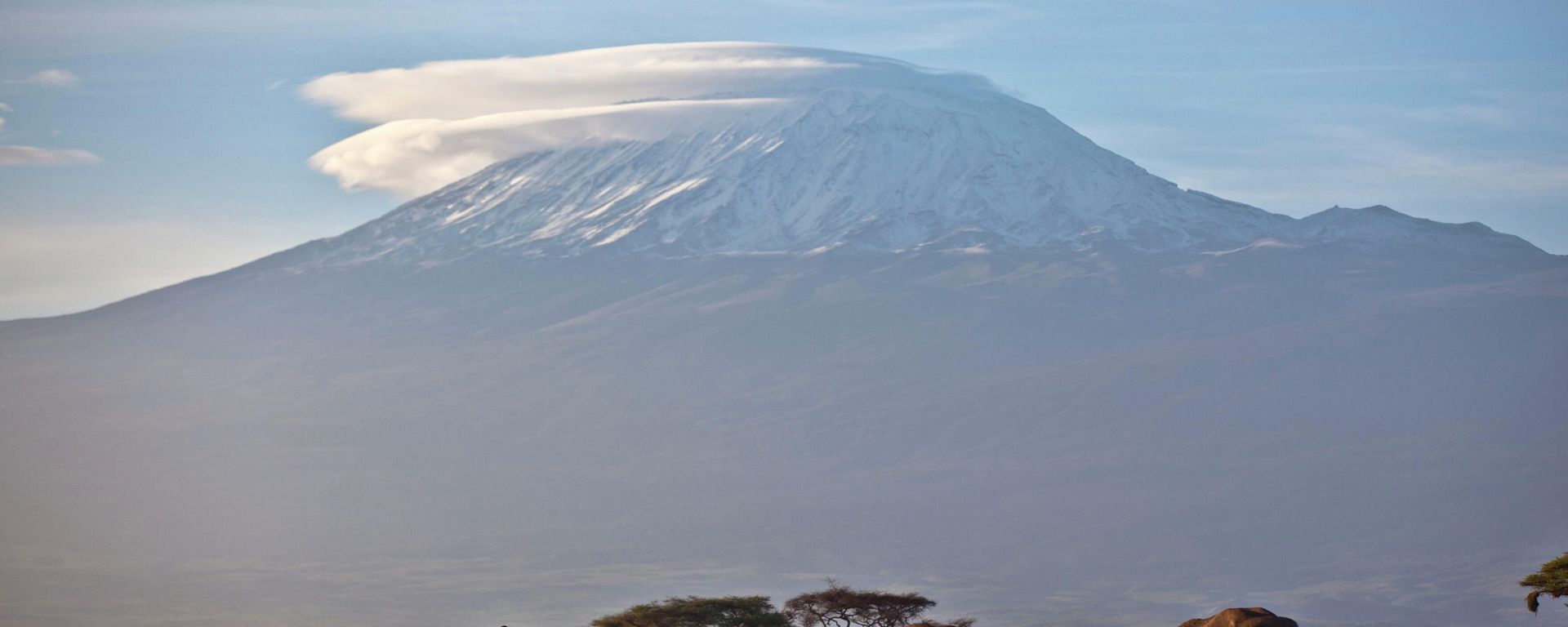A herd of adult and baby elephants walks in the dawn light as the highest mountain in Africa, Tanzania's Mount Kilimanjaro, is seen in the background, in Amboseli National Park, southern Kenya on Monday Dec.17, 2012. - Sputnik International, 1920, 24.10.2026