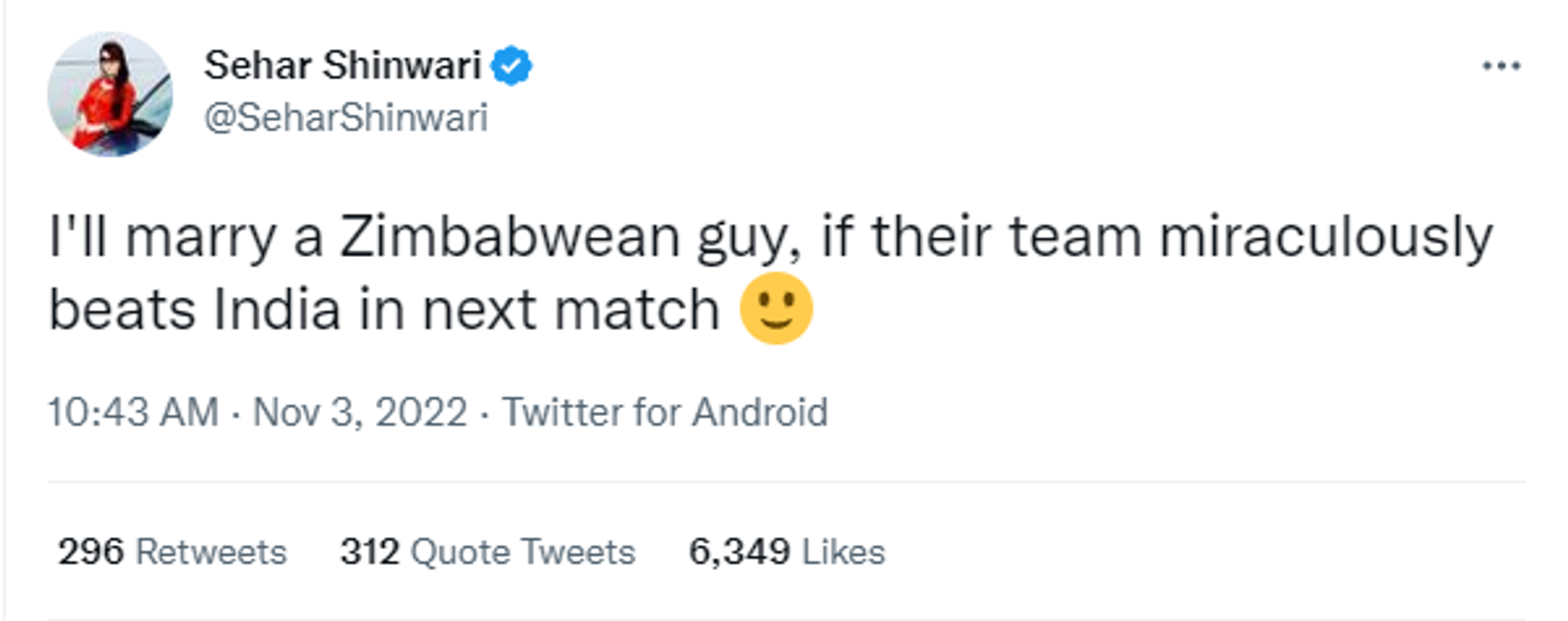 Pakistani Actor Sehar Shinwari Says She Will Marry Zimbabwean Guy if Their Team Beats Team India - Sputnik International, 1920, 03.11.2022