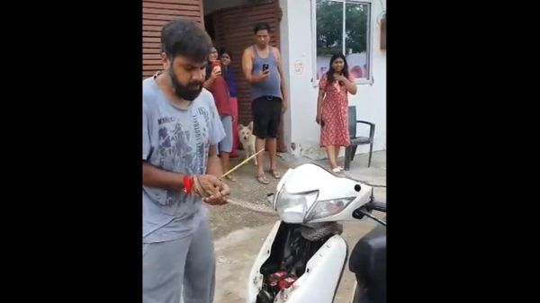 Man Pulls Cobra Out Of Scooter's Engine With Bare Hands - Sputnik International