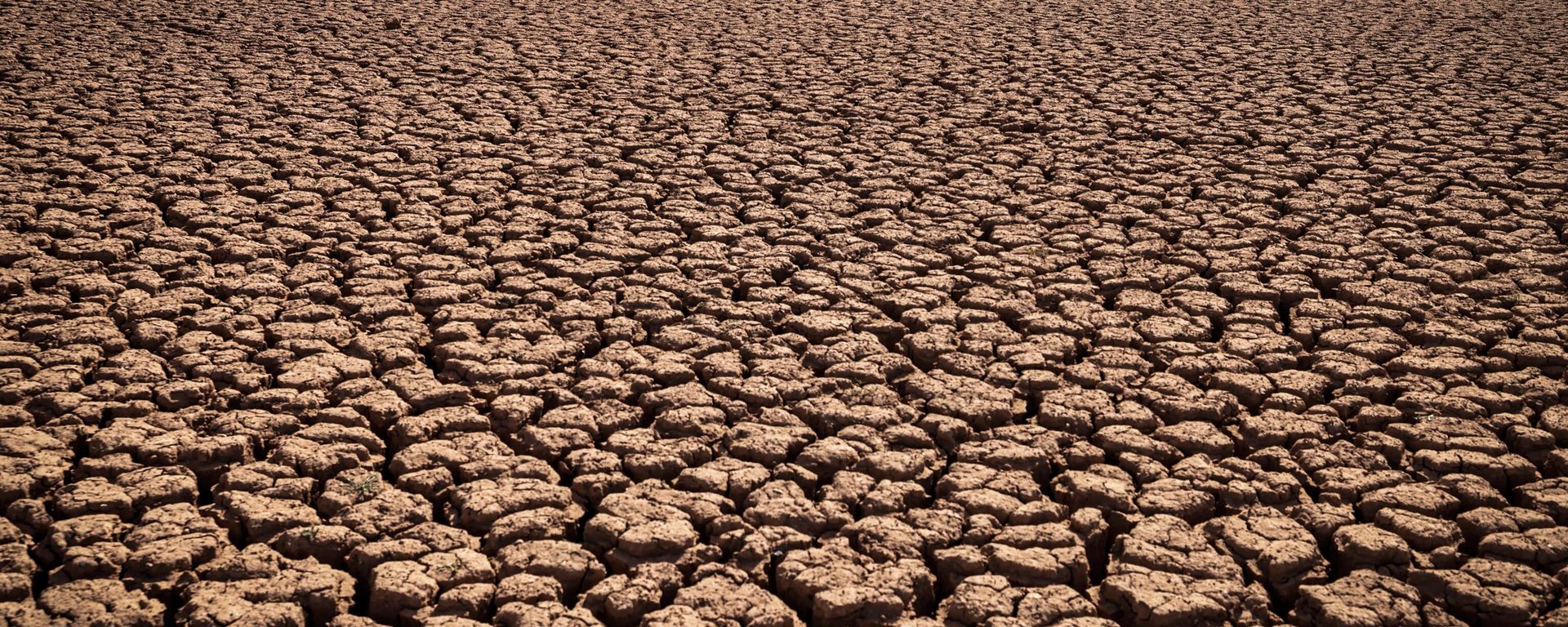 In this file photo taken on August 8, 2022, a herd of sheep walk over cracked earth at al-Massira dam in Ouled Essi Masseoud village, some 140 kilometres (85 miles) south from Morocco's economic capital Casablanca, amidst the country's worst drought in at least four decades. In this file photo taken on August 8, 2022, a herd of sheep walk over cracked earth at al-Massira dam in Ouled Essi Masseoud village, some 140 kilometres (85 miles) south from Morocco's economic capital Casablanca, amidst the country's worst drought in at least four decades. - Sputnik International, 1920, 06.11.2022