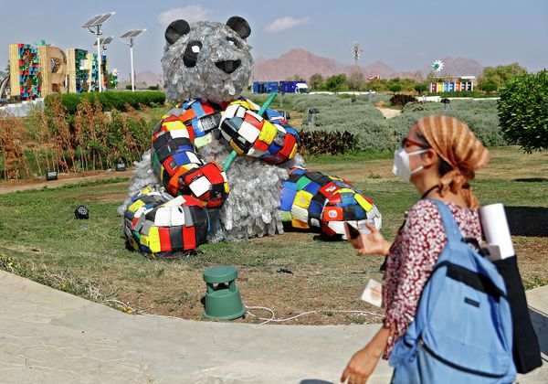 A participant walks past an artwork in the Green Zone during the COP27 climate summit at the Sharm El Sheikh International Convention Centre, in Egypt's Red Sea resort of the same name, on November 7, 2022. - Sputnik International