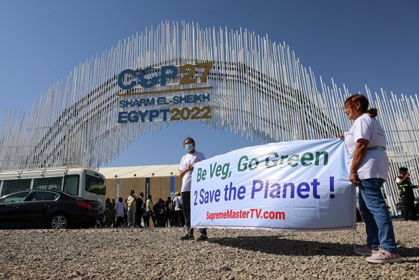 Vegan activists carry placards as they demonstrate at the entrance of the Sharm El Sheikh International Convention Centre, in Egypt's Red Sea resort of the same name, on November 6, 2022, during the 2022 United Nations Climate Change Conference, more commonly known as COP27.  - Sputnik International