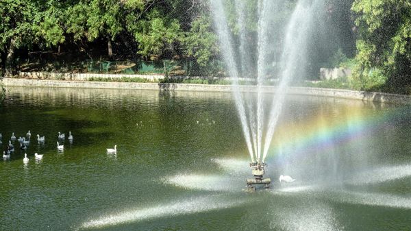 A rainbow is seen above the water as swans swim around the fountain in a lake at Lodhi Garden in New Delhi on May 21, 2020 - Sputnik International