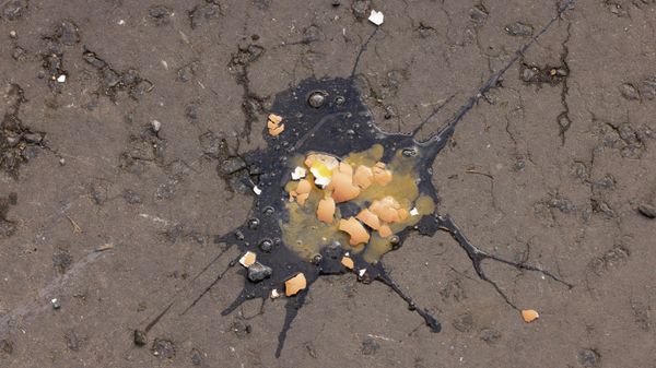 An egg which was thrown at Britain's King Charles III as he arrived for a ceremony at Micklegate Bar, where the Sovereign is traditionally welcomed to the city, is seen in York, England, Wednesday Nov. 9, 2022. - Sputnik International