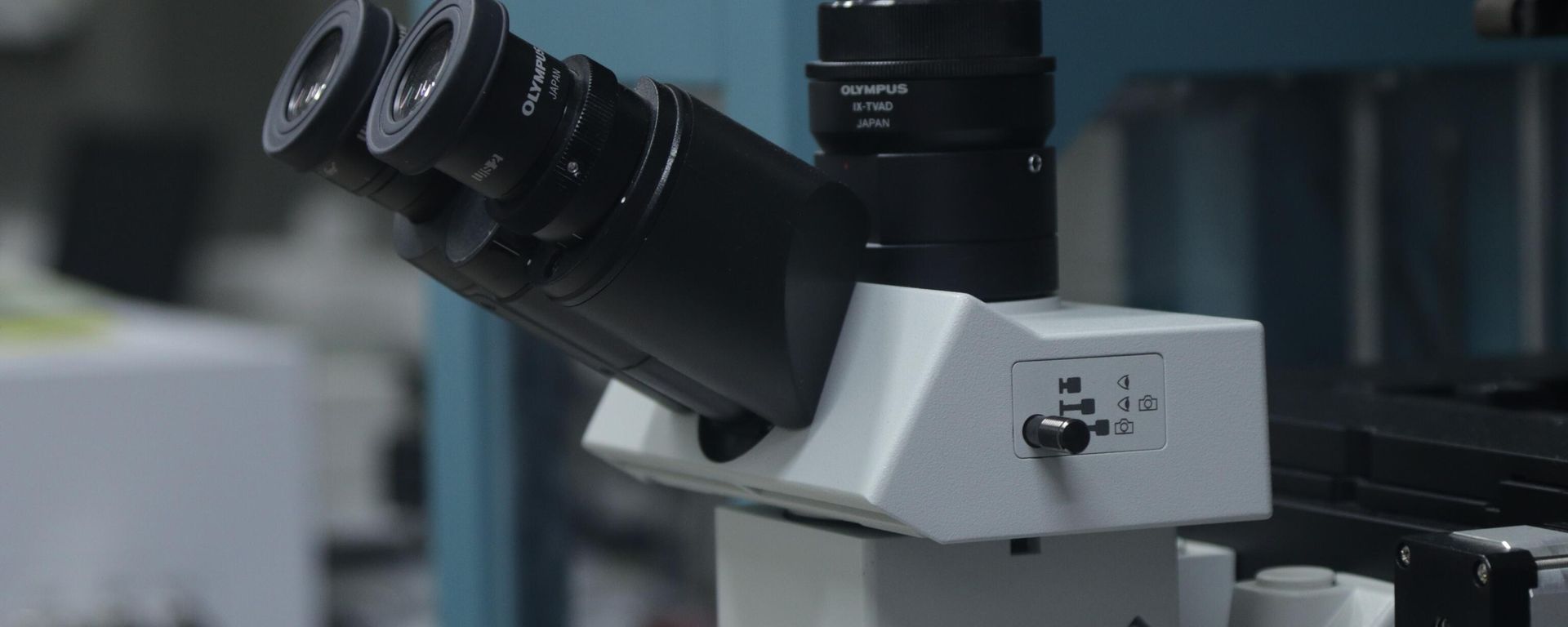 Optical microscope of the SSU Laboratory of Optics and Biophotonics Optical microscope of the SSU Laboratory of Optics and Biophotonics - Sputnik International, 1920, 26.08.2024