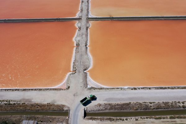 Heavy machinery is being used at salt evaporation ponds in Narta lagoon near the city of Vlora, by the Adriatic sea, southwest Albania, where some ponds have turned pink due to halobacteria and microscopic algae. Albania has been a traditional producer of sea salt, which nowadays is mainly destined for export to Western markets. - Sputnik International