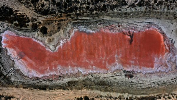 This pink lake is in Ras Al Khaimah in the United Arab Emirates. Its pink hue is the effect of red algae, which caused the water to change color. - Sputnik International