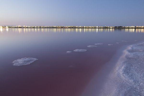The pink lake of Torrevieja is located in Parc Natural de Las Lagunas de La Mata y Torrevieja, Spain. - Sputnik International