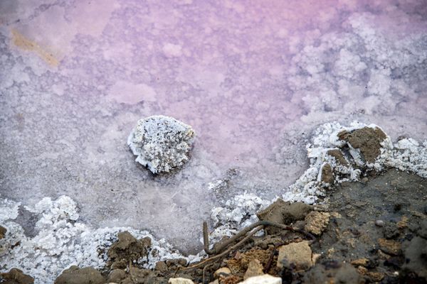 Saki healing lake is located between Saki and Evpatoria in Crimea. - Sputnik International