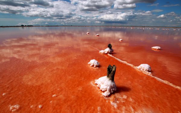 Lake Sasyk-Sivash in Evpatoria, Crimea. - Sputnik International