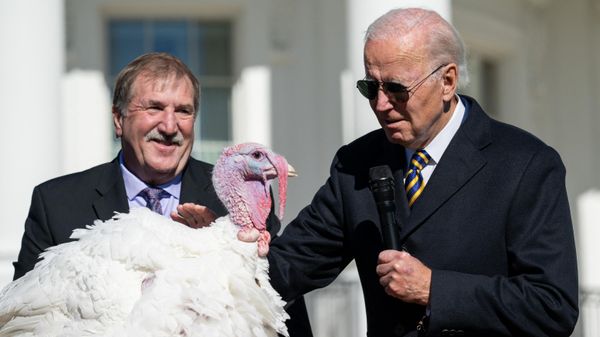 US President Joe Biden pardons Chocolate, the National Thanksgiving Turkey, as he is joined by the National Turkey Federation Chairman Ronnie Parker (L) on the South Lawn of the White House in Washington, DC on November 21, 2022. US President Joe Biden pardons Chocolate, the National Thanksgiving Turkey, as he is joined by the National Turkey Federation Chairman Ronnie Parker (L) on the South Lawn of the White House in Washington, DC on November 21, 2022. - Sputnik International