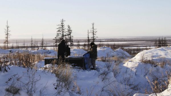 Russian scientists Sergey Zimov and his son Nikita Zimov extract air samples from frozen soil near the town of Chersky in Siberia 6,600 kms (4,000 miles) east of Moscow, Russia. Russian scientists Sergey Zimov and his son Nikita Zimov extract air samples from frozen soil near the town of Chersky in Siberia 6,600 kms (4,000 miles) east of Moscow, Russia. - Sputnik International