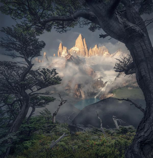 Summer Window by Max Rive of the Netherlands, winner of the 9th International Landscape Photographer of the Year. Los Glaciares National Park, Argentina. - Sputnik International