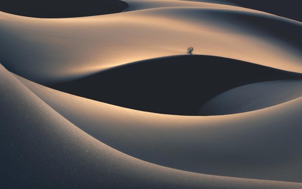 Rhythm Of Life by Chinese photographer Liu Bai, third place winner in The International Landscape Photograph of the Year 2022 (awarded for a single image). Badain Jaran Desert, Inner Mongolia, China. - Sputnik International