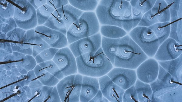 Снимок The Network  румынского фотографа Gheorghe Popa, победивший в номинации Abstract Aerial Award конкурса The 9th International Landscape Photographer of the Year - Sputnik International
