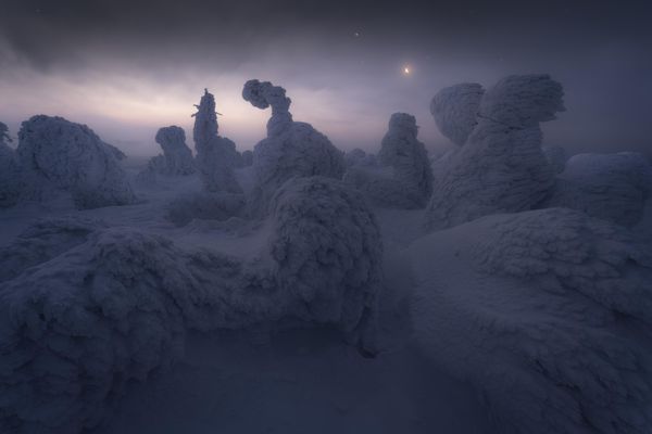 Frozen by Japanese photographer Koki Dote, winner of the Snow And Ice Award at the 9th International Landscape Photographer of the Year. Japan,Fukushima Prefecture,Mt Nishiazuma. - Sputnik International