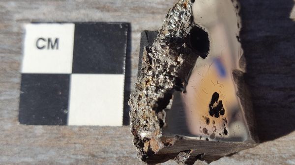 A slice of the El Ali meteorite, now housed in the U of A's Meteorite Collection, contains two minerals never before seen on Earth. - Sputnik International