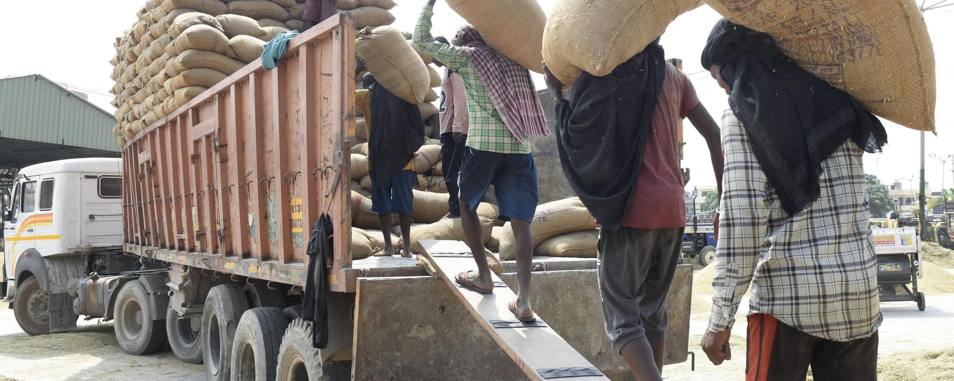Labourers load sacks of paddy crop on a truck at a wholesale grain market in Amritsar on September 20, 2022. - Sputnik International, 1920, 30.11.2022