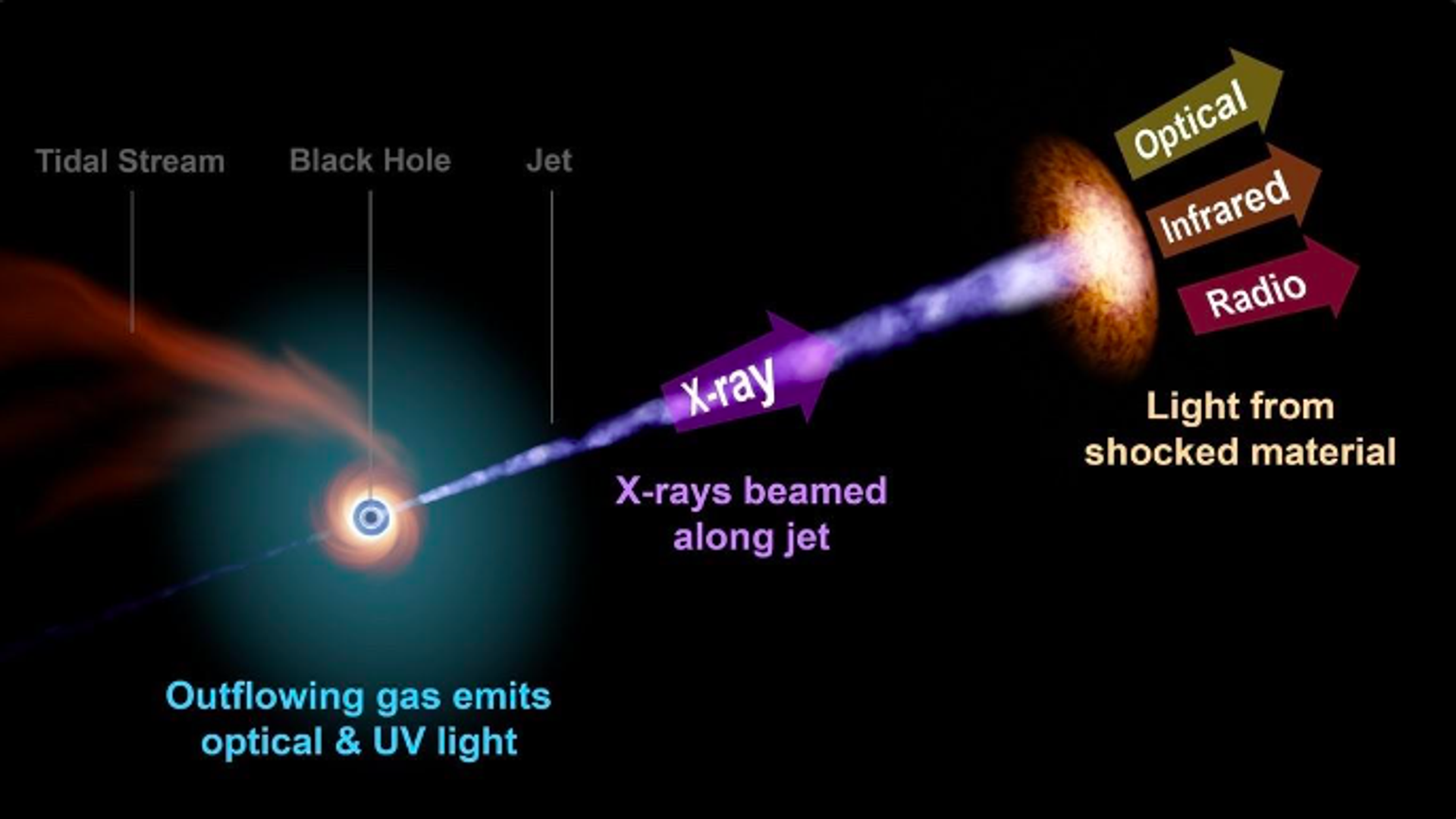 A black hole devours a star that has come too close.  AT2022cmc is the most distant such event recorded to date.  - Sputnik International, 1920, 01.12.2022