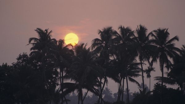 Indian state of Kerala - Sputnik International