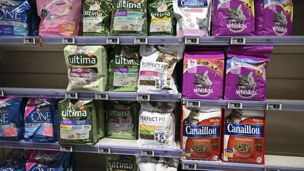 Pet food  - Sputnik International