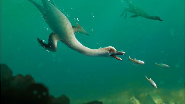 Natovenator polydontus - Sputnik International