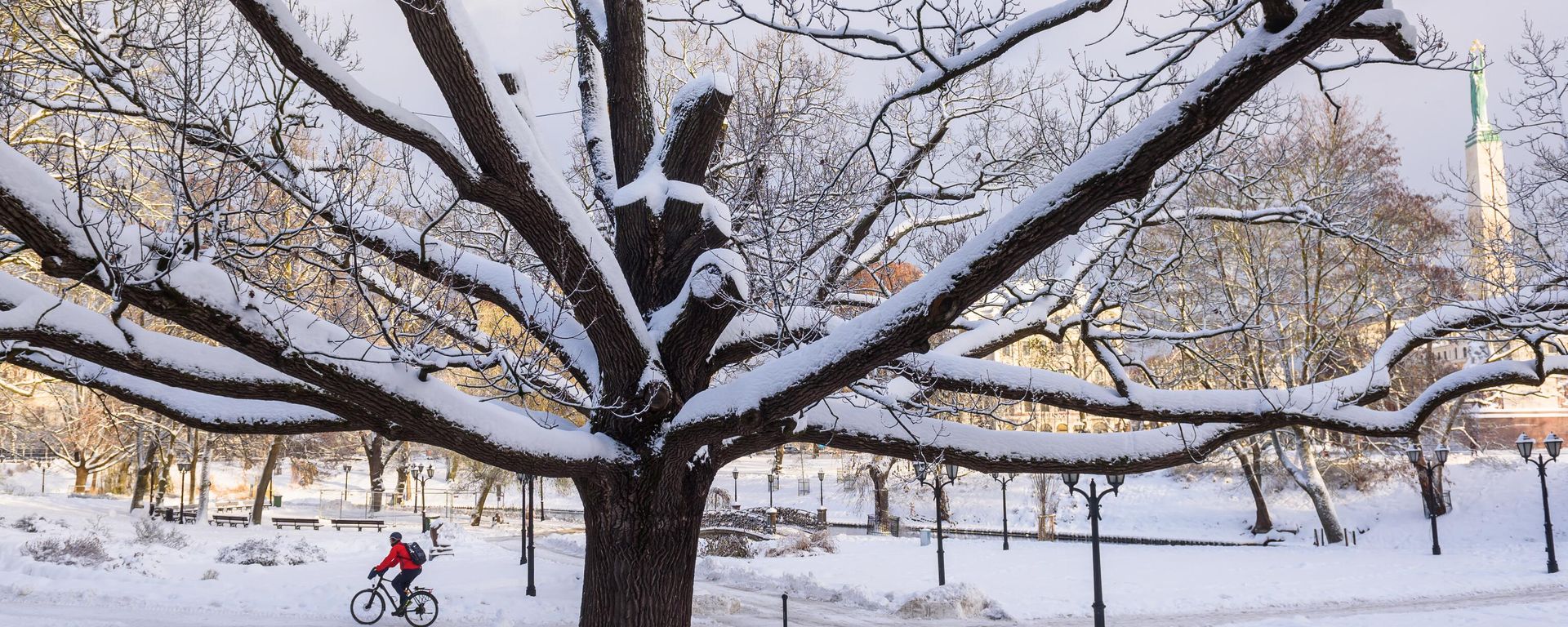 A man rides a bicycle as the park is snow covered on December 8, 2022 in Riga, Latvia. A man rides a bicycle as the park is snow covered on December 8, 2022 in Riga, Latvia. - Sputnik International, 1920, 10.12.2022