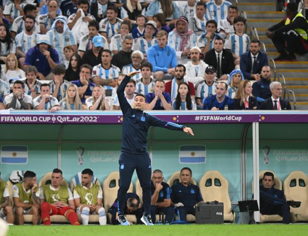 Argentina's head coach Lionel Scaloni at the World Cup quarterfinal match between the Netherlands and Argentina. - Sputnik International