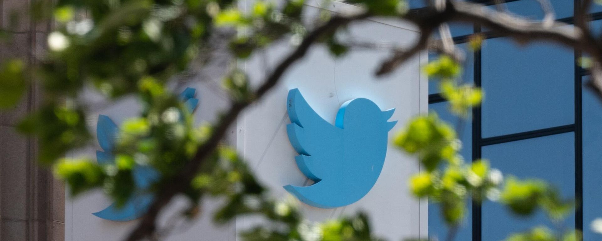The Twitter logo is seen at their headquarters on April 26, 2022 in downtown San Francisco, California. - Sputnik International, 1920, 18.12.2022