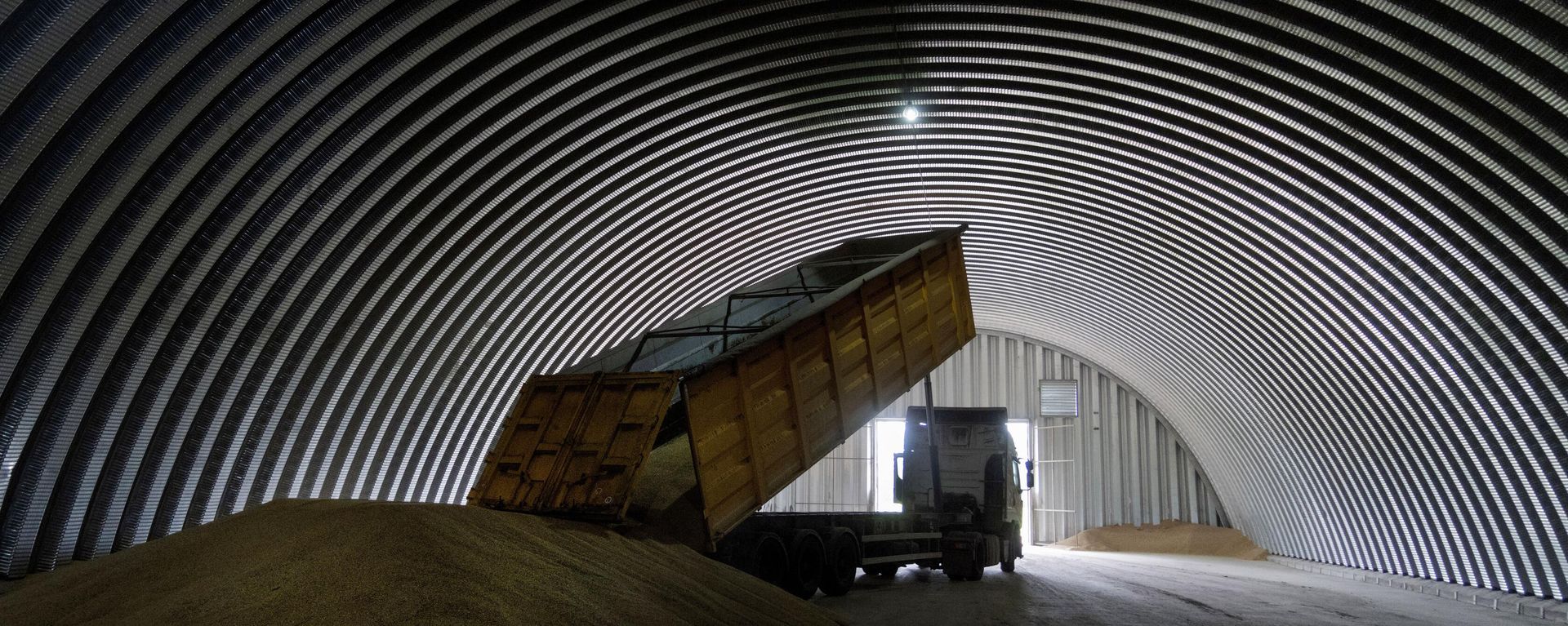 A dump track unloads grain in a granary in the village of Zghurivka, Ukraine, Aug. 9, 2022. - Sputnik International, 1920, 20.12.2022