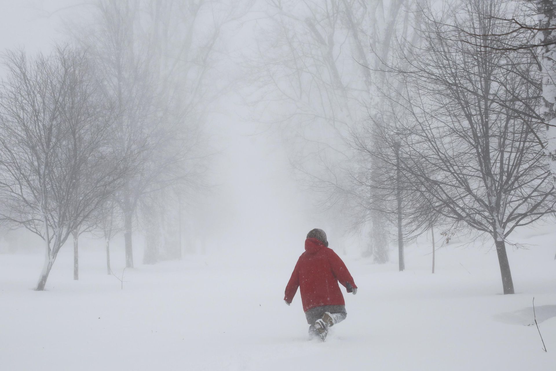A person walks on the street as a winter storm rolls through Western New York Saturday, Dec. 24, 2022, in Amherst N.Y.  - Sputnik International, 1920, 25.12.2022
