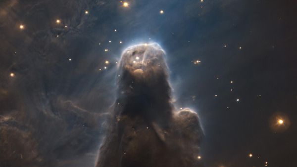 The Cone Nebula as seen by ESO's Very Large Telescope - Sputnik International