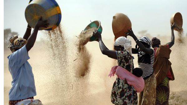 Malian women sift wheat in a field near Segou, central Mali, Jan. 22, 2013.  - Sputnik International