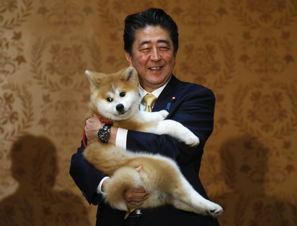 Shinzo Abe, Japan's longest-serving prime minister, was in power from 2006 to 2007 and from 2012 to 2020. He was mortally wounded by shots fired by a 41-year-old man while giving a campaign speech for a colleague in the city of Nara on 8 July 2022 at the age of 67. The politician was cremated and had a funeral at a Buddhist temple on 12 July. - Sputnik International