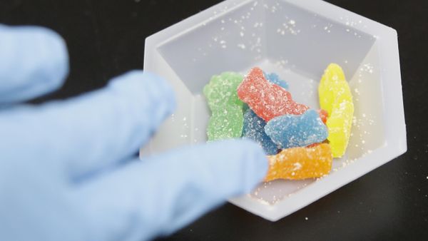 Edible marijuana samples are set aside for evaluation at a cannabis testing laboratory in Santa Ana, Calif., on Wednesday, Aug. 22, 2018 - Sputnik International