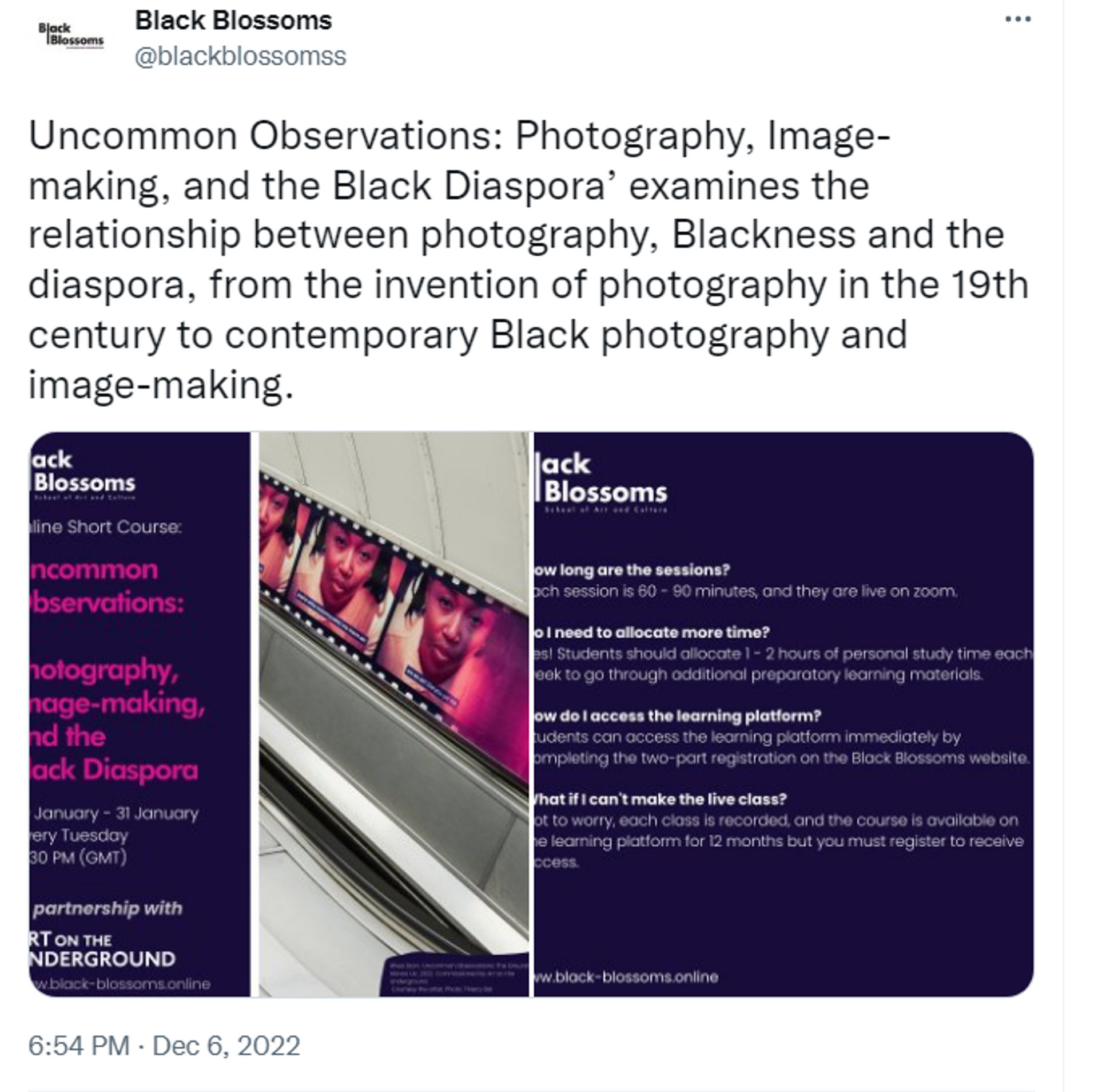 Screenshot of Twitter account of the Black Blossoms School of Art & Culture. - Sputnik International, 1920, 04.01.2023