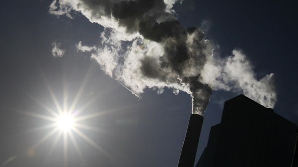 Steam rises from a chimney of the black coal-fired Grosskraftwerk Mannheim (GKM) power plant in Mannheim, southwestern Germany, on February 23, 2022.  - Sputnik International