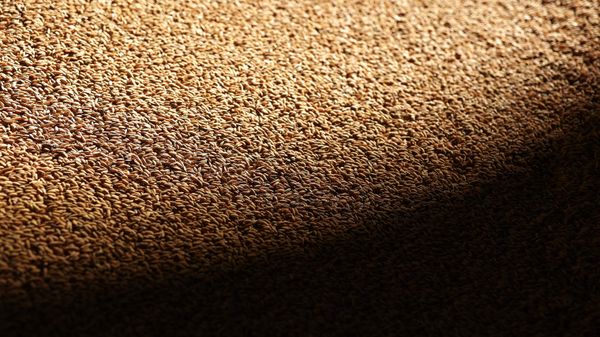 Russian rice - Sputnik International