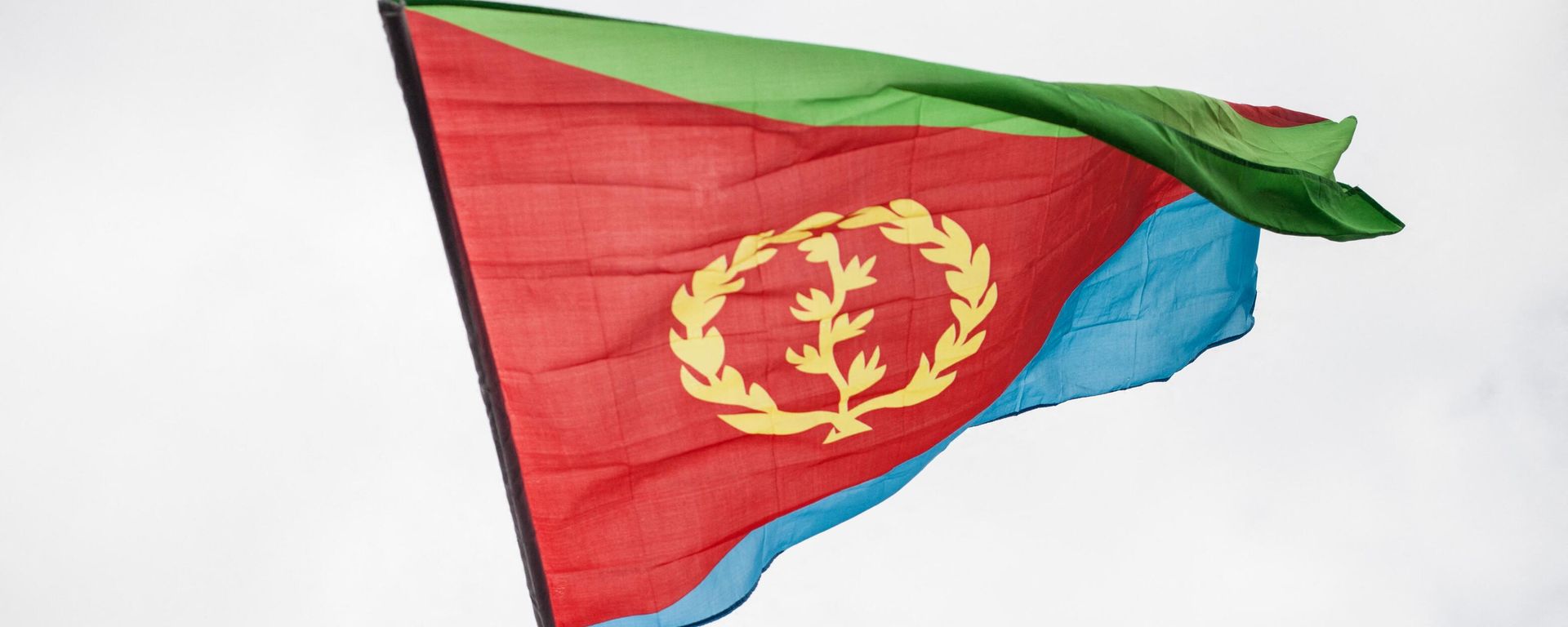 A man waves an Eritrean national flag as hundreds of Eritreans demonstrate in front of the African Union headquarters in support of the UN Inquiry report and asking for measures to be taken against Eritrea on June 26, 2015 in Addis Ababa. A man waves an Eritrean national flag as hundreds of Eritreans demonstrate in front of the African Union headquarters in support of the UN Inquiry report and asking for measures to be taken against Eritrea on June 26, 2015 in Addis Ababa. - Sputnik International, 1920, 08.01.2023