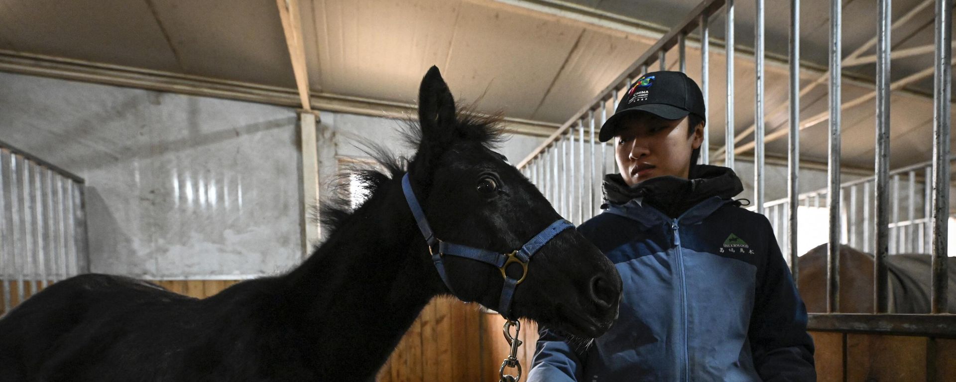 Zhuangzhuang, the country's first cloned horse bred by Chinese company Sinogene, is seen with animal trainer Yin Chuyun at a stable at Sheerwood horse riding club in Beijing on January 12, 2023. Zhuangzhuang, the country's first cloned horse bred by Chinese company Sinogene, is seen with animal trainer Yin Chuyun at a stable at Sheerwood horse riding club in Beijing on January 12, 2023. - Sputnik International, 1920, 12.01.2023