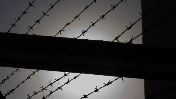 Barbed wire - Sputnik International